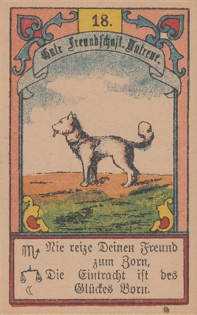 犬